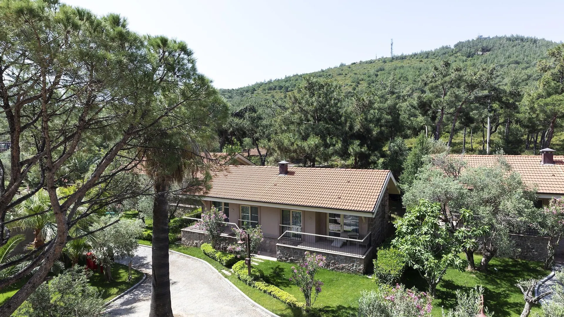 ***** Hotel D - Resort Ayvalik Turkey